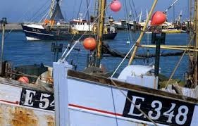 Impuls voor visserij in Noord-Groningen: driekwart miljoen voor vissersorpen Hoogeland