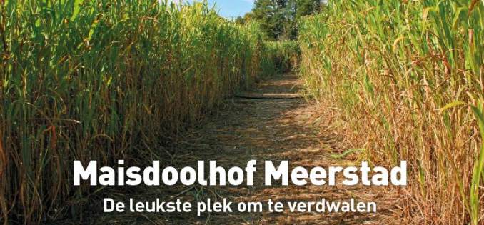 Meerstad heeft opnieuw zomerse trekpleister: Maïsdoolhof