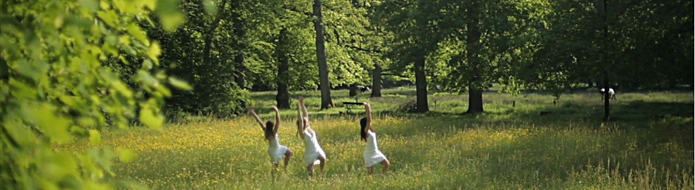 Historisch Gronings studentenballet op Landgoed De Braak