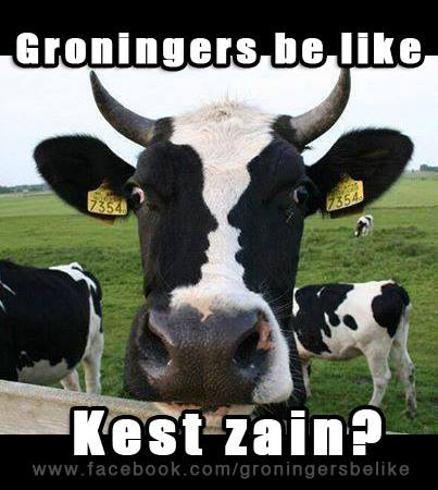 2. Groningers kijken op andere dagen dan Valentijnsdag vaak verliefd naar elkaar
