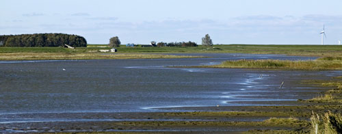 Lezing van Harm Post voor Groninger Landschap over Eems Dollard Estuarium