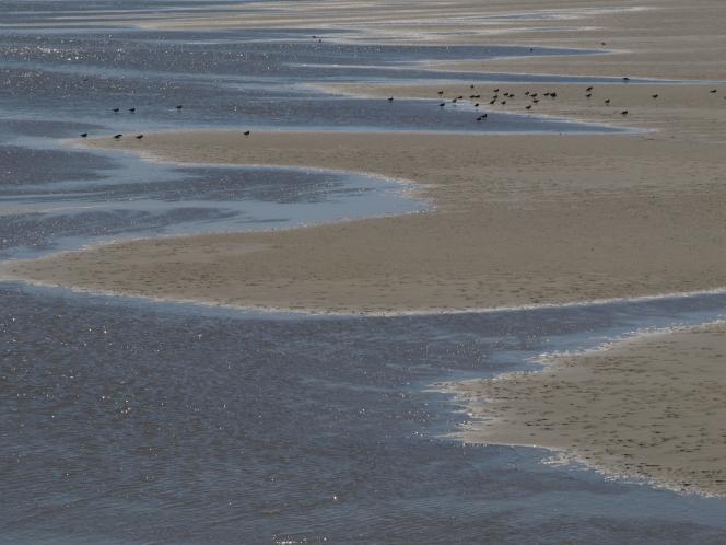 Raad van State: vaarweg Eemshaven-Noordzee mag worden verruimd