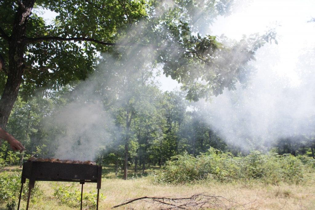 Wat te doen met Noorderplantsoen? Barbecues of niet? Noorderzon inperken? Gemeenteraad aan het woord