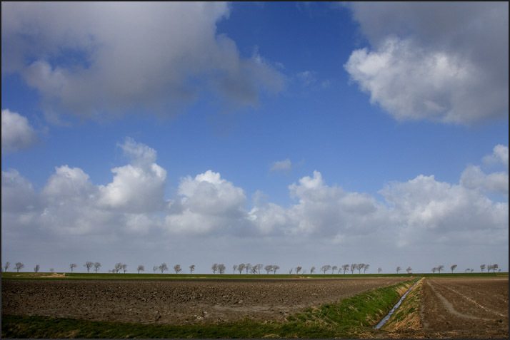 Gezocht: ‘De soort van Groningen’