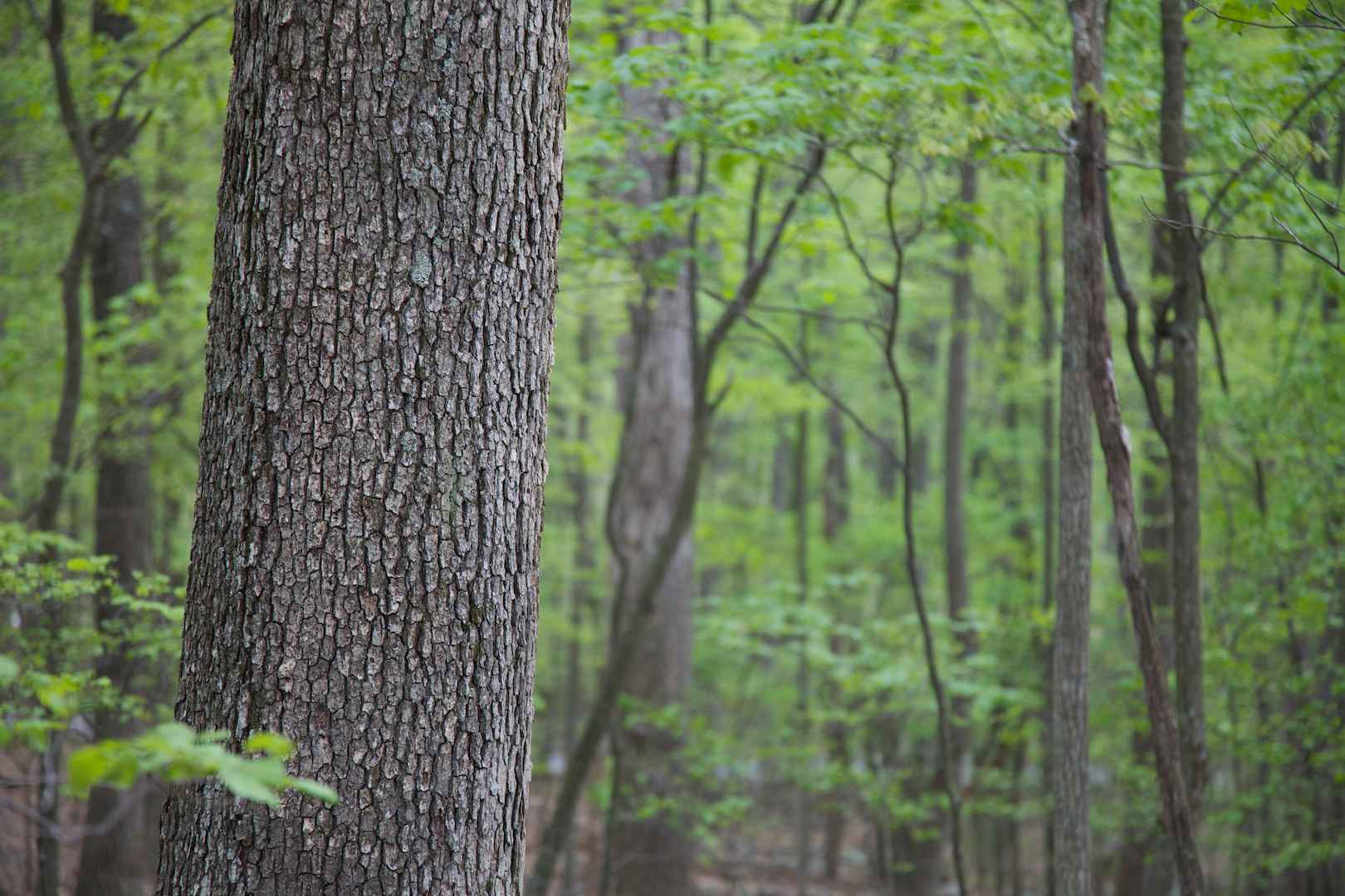 Provincie Groningen: extra toezicht in natuurgebieden