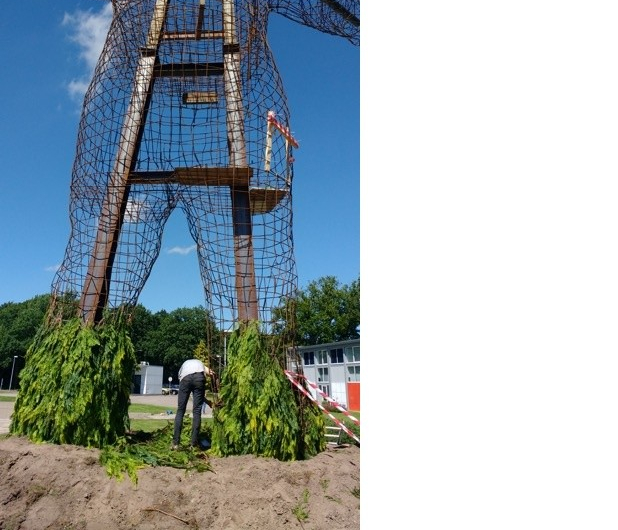 Gezocht: coniferen voor bijzonder kunstwerk