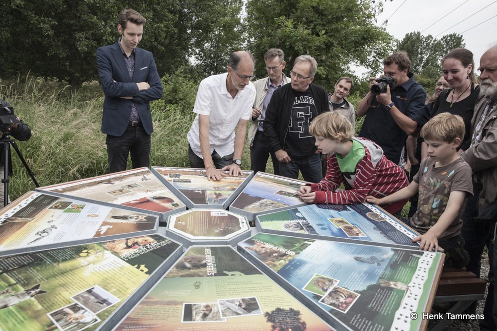 Eerste ecoduct van Nederland in stedelijk gebied in Groningen geopend