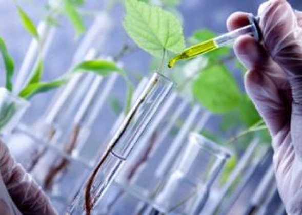 Hanzehogeschool werkt met toonaangevend Duits instituut aan oplossingen voor biobased economy