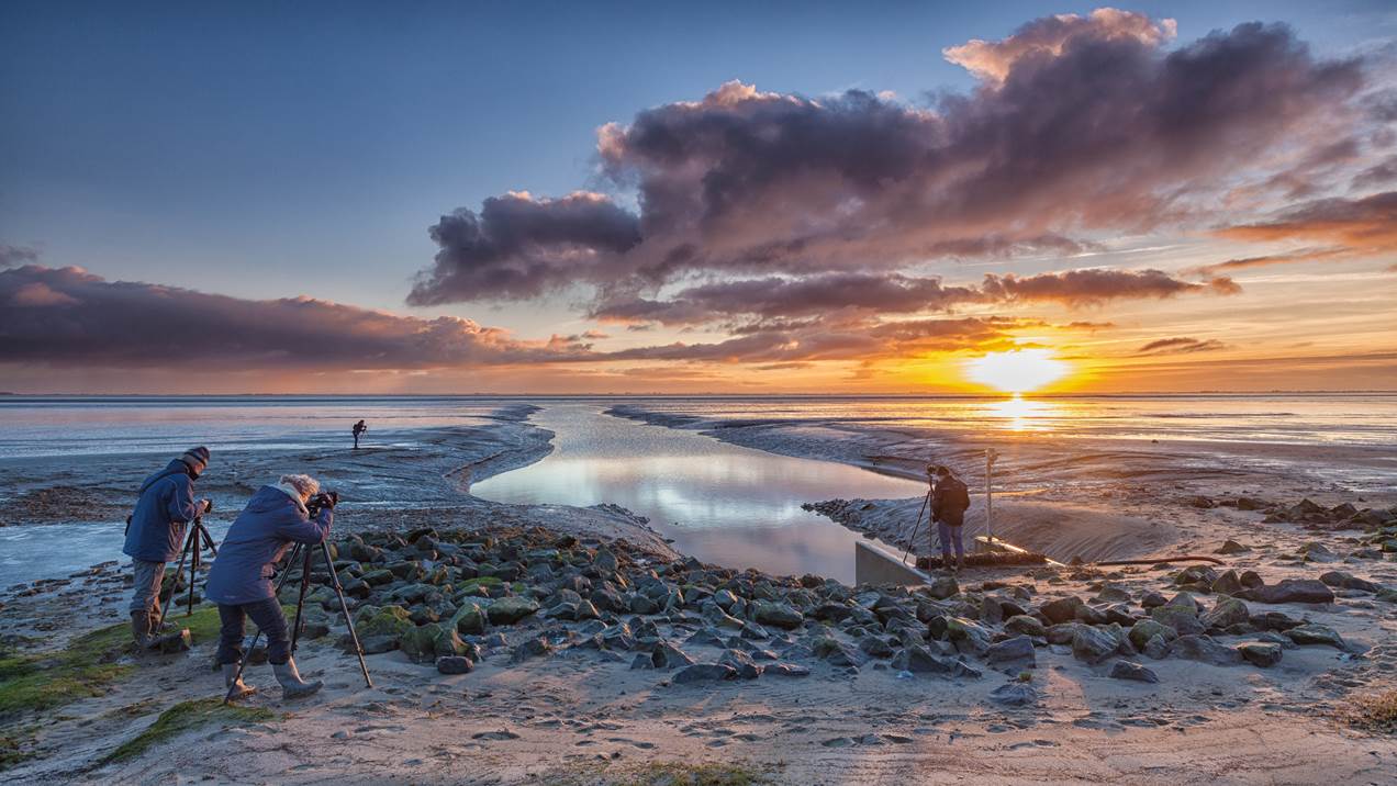 Groninger Landschap organiseert fotografieworkshop bij Punt van Reide