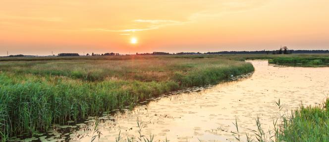 Natuurgebied De Onlanden bij Groningen nu ook in Google Street View