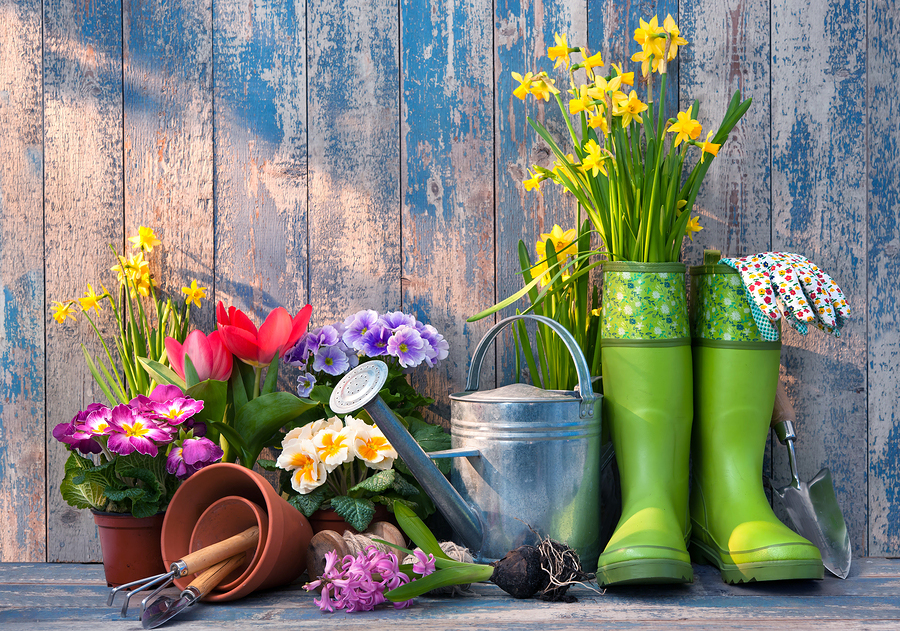 In Martiniplaza begint de lente al op 16 februari: beurs volledig gericht op Tuin & Sfeer