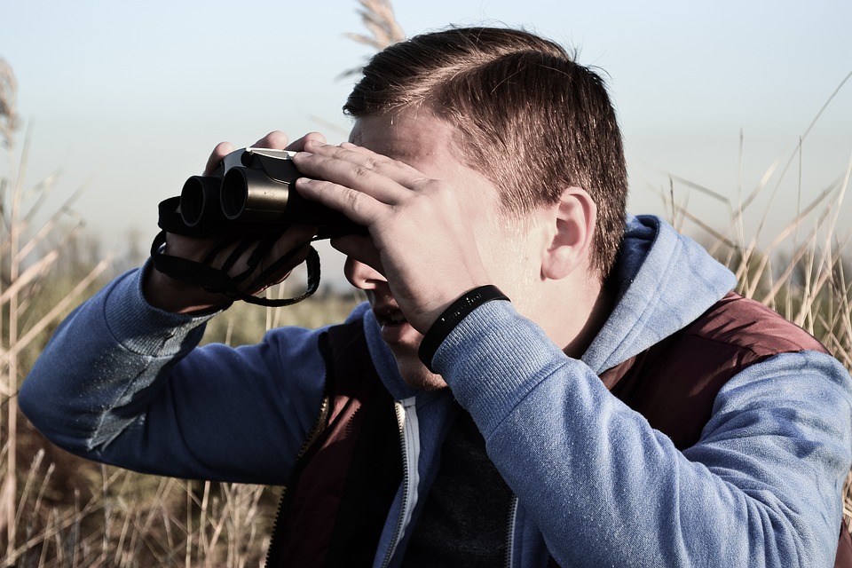 Het wordt lente! Dus… vogels kijken in Reitdiepgebied