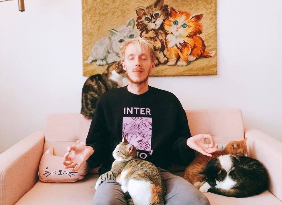 Mindfulness en 'catfulness' bij Kattencafé in Groningen