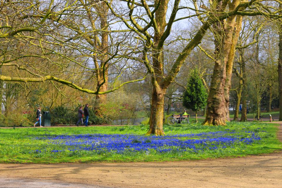 Voorjaarsschoonmaak Noorderplantsoen zaterdag 8 april vormt start 'Lentekriebels'