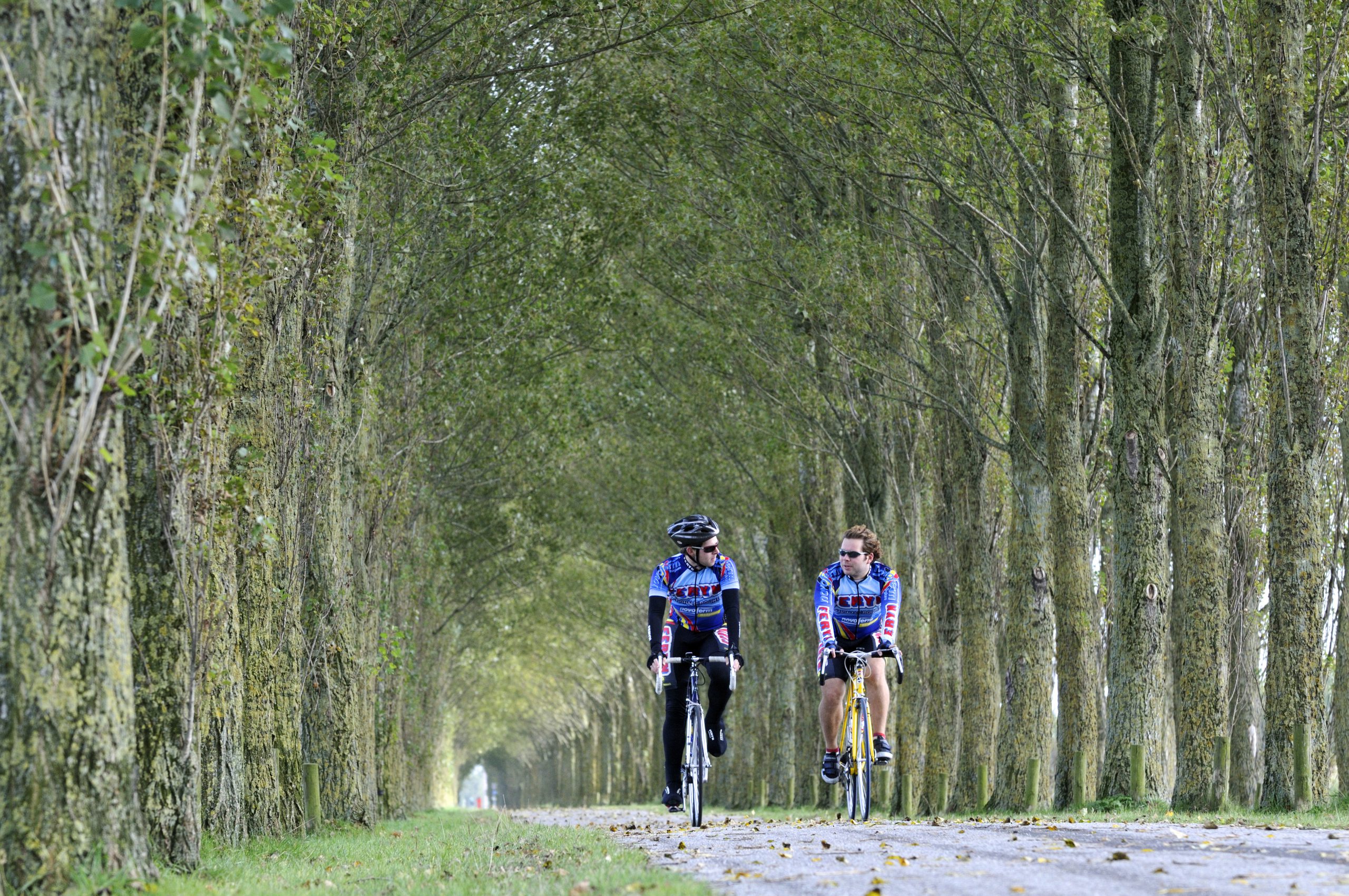 Enquête naar Natuurgebied Kardinge