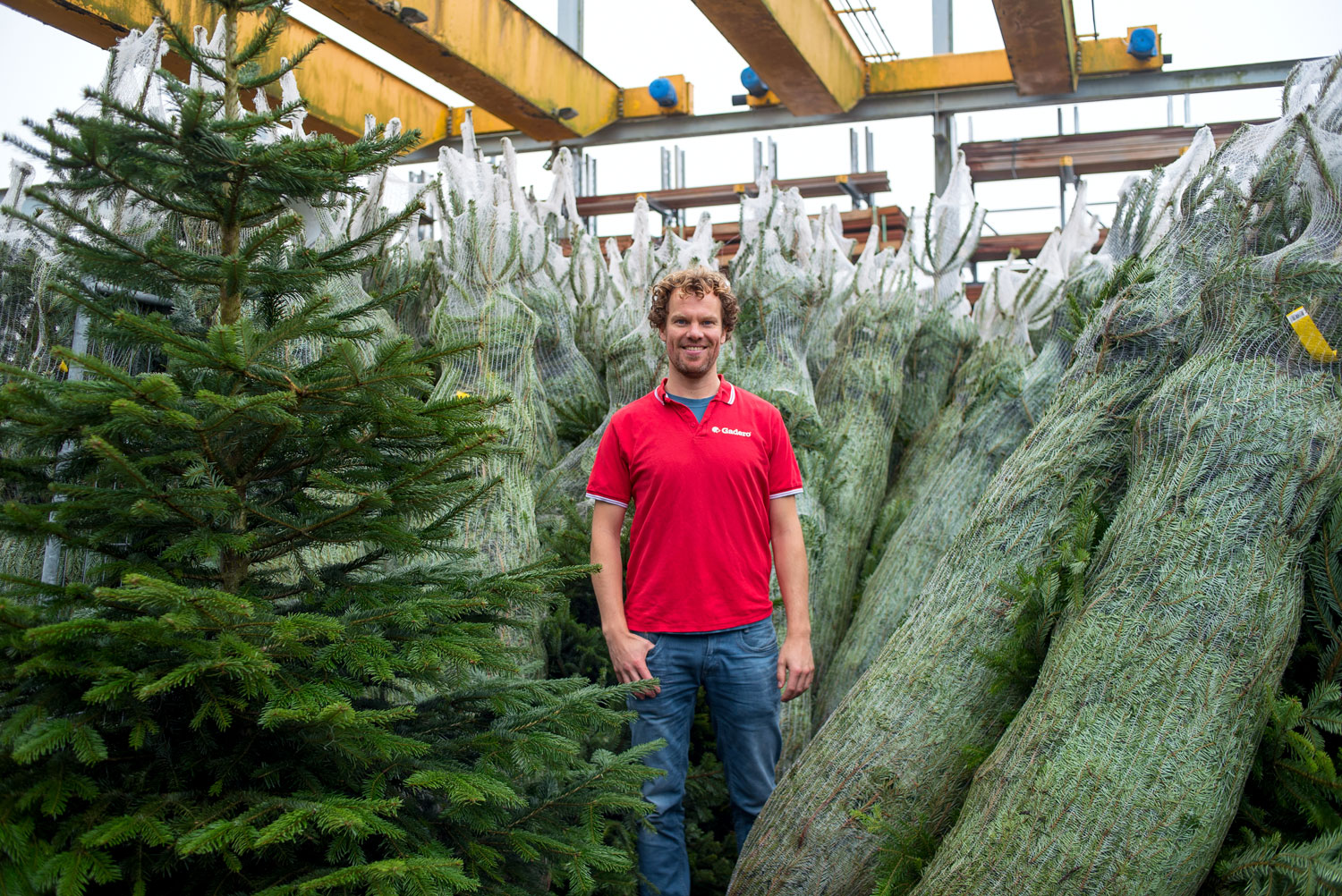 Groningse Gadero succesvol met online kerstbomenhandel