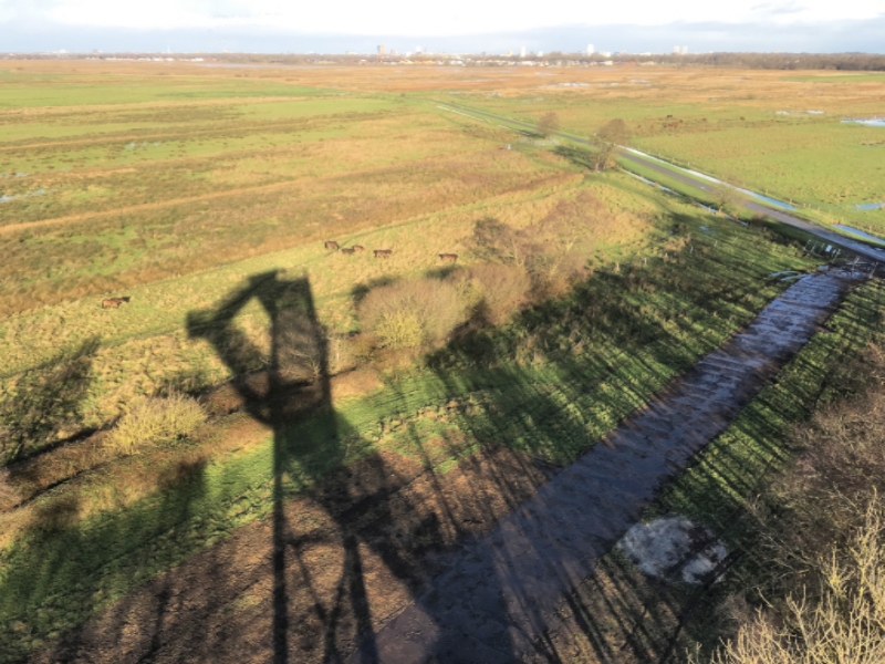 Uitkijktoren in De Onlanden geopend voor publiek