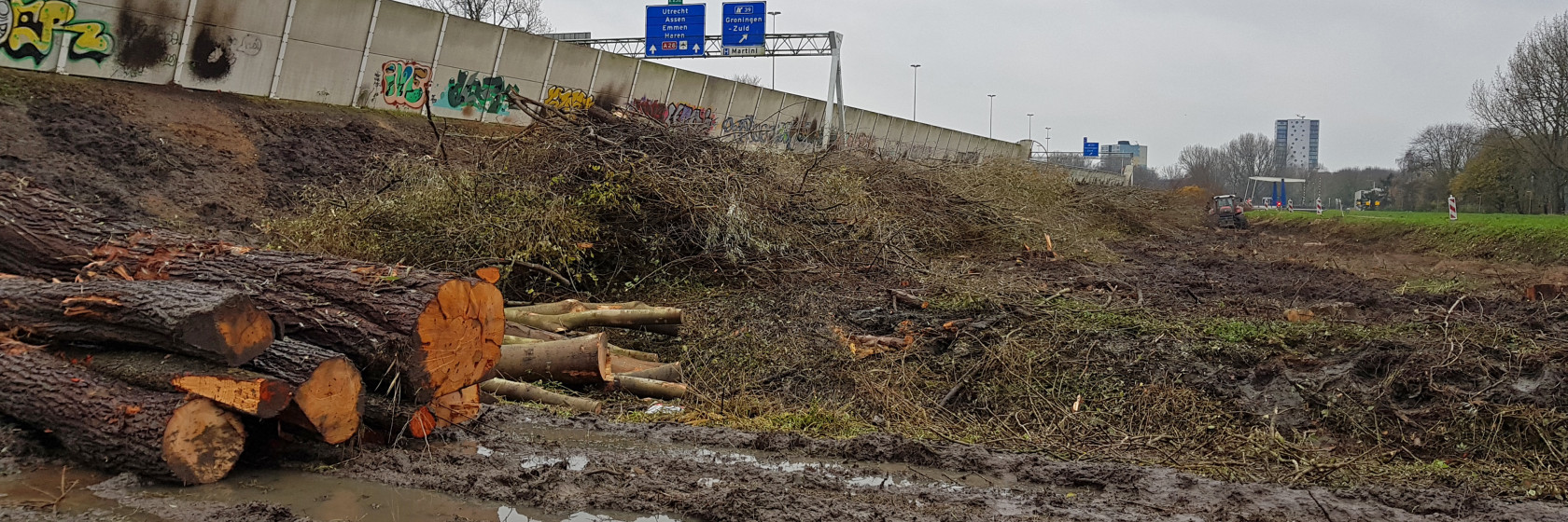 Bomen Verlengde Meeuwerderweg woensdag gekapt