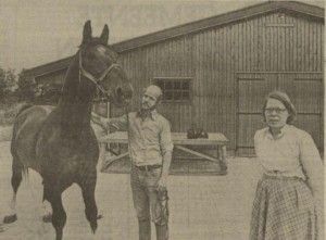 De laatste hengst van het Groninger paard - Baldewijn -  met verzorger Piet Bos en eigenaresse Anneke Clazon in het Nieuwsblad van het Noorden_04-08-1979
