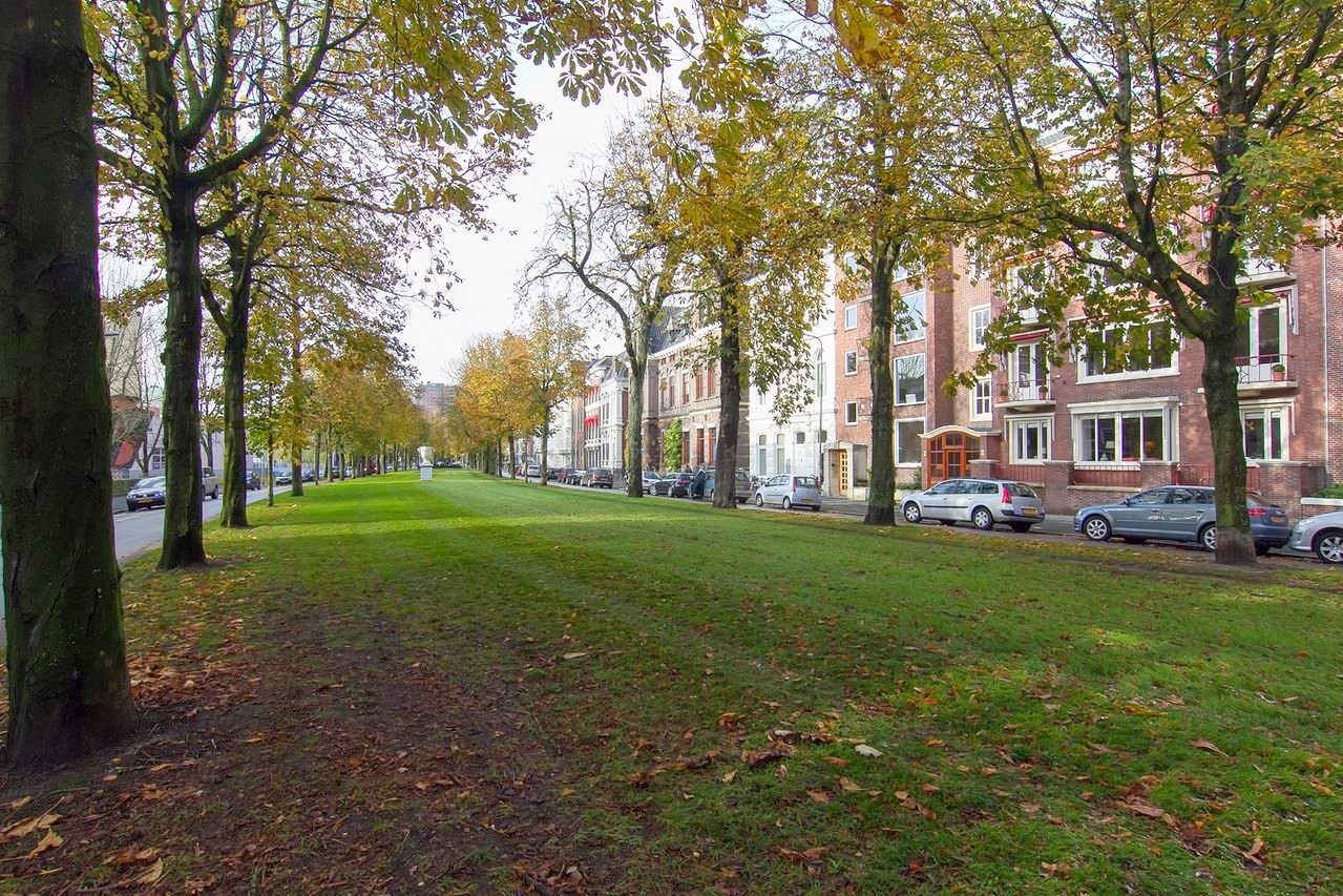 Ubbo Emmiussingel Koningsdag gezondste straat van Nederland