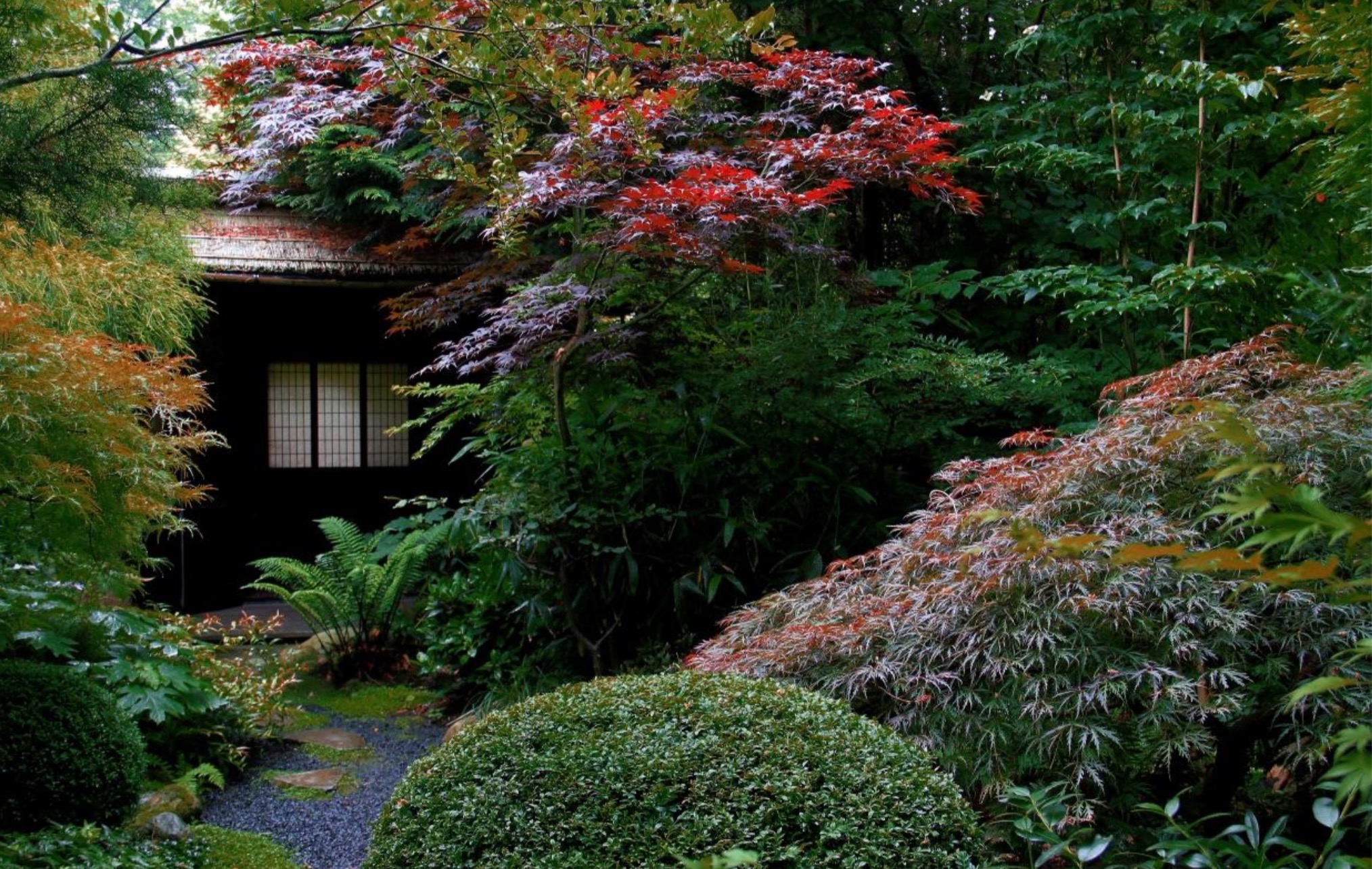 Japanse Tuin