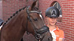 Komend weekend groot dressuurevenement in Tolbert; L&R Horse Events Young Talent