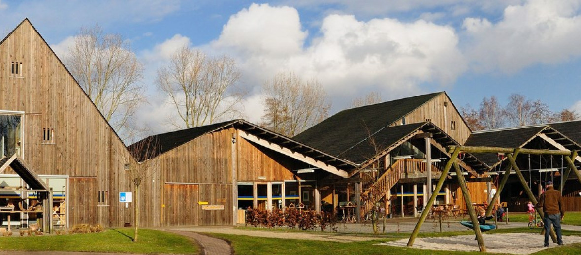 Groningse primeur: bessen, walnoten en scharrelvarkens bij zonnepanelen in Haren