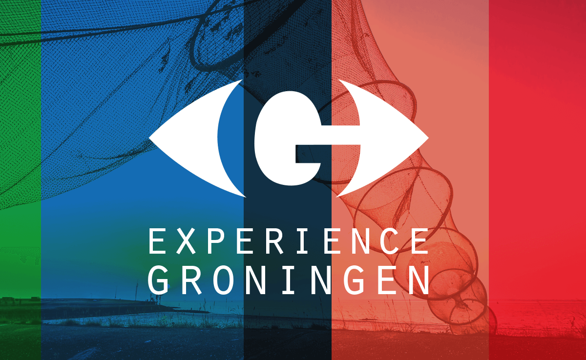 Experience Groningen: Internationale studenten maken kennis met stad en provincie