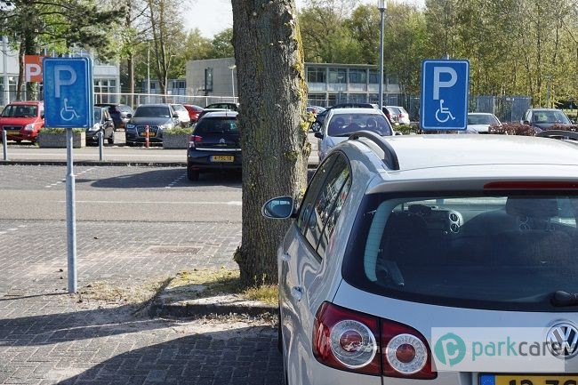 Raadslid wil meer invaliden parkeerplekken in Groningen