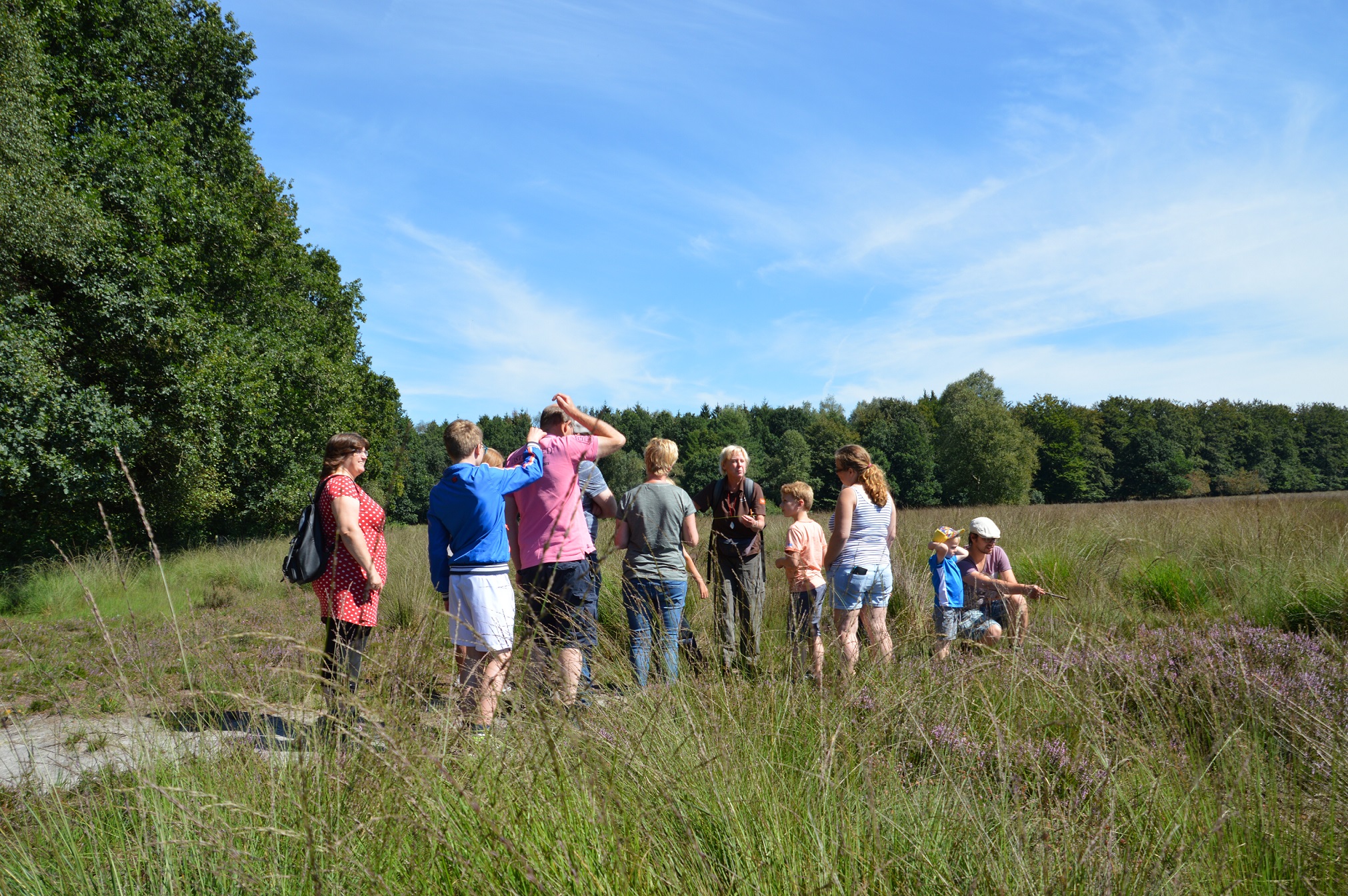 Met Staatsbosbeheer wandelen door de natuur