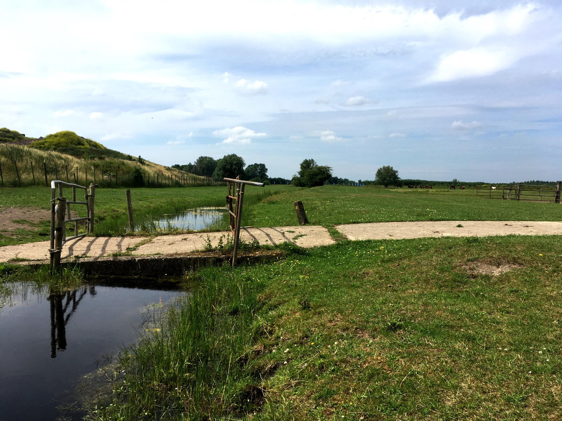 Groninger Landschap organiseert fietstocht door historisch Hunzedal