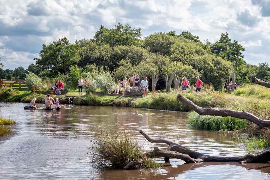 Zomervakantie in Groningen: de leukste uitjes op een rij