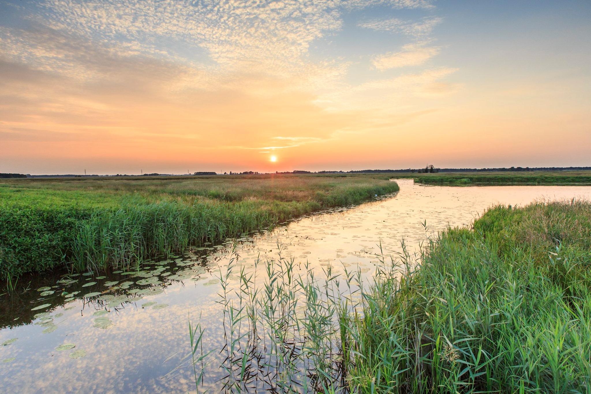 Extra waterberging in De Onlanden