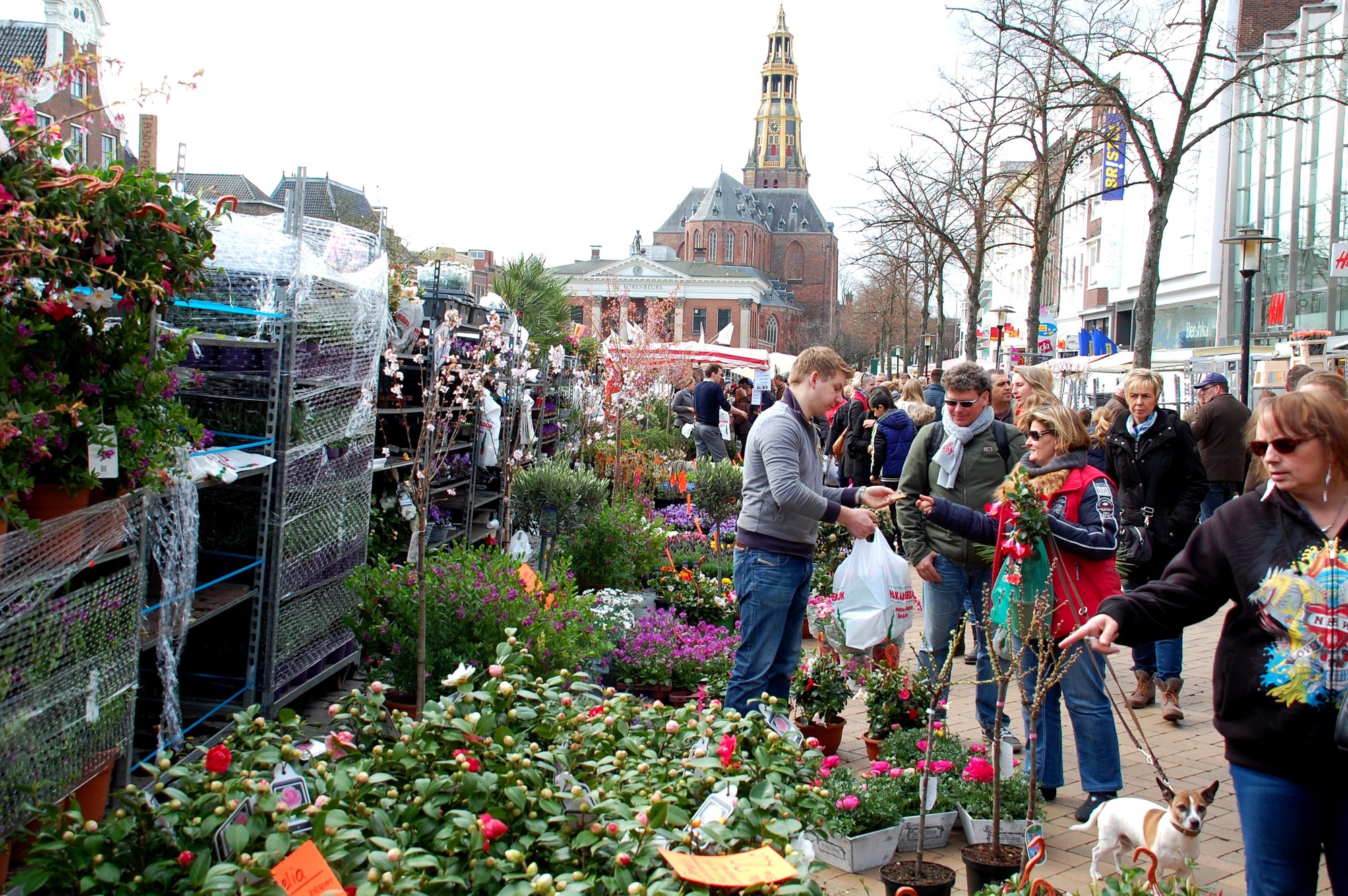 Groningen zet komende vrijdag massaal de bloemetjes buiten