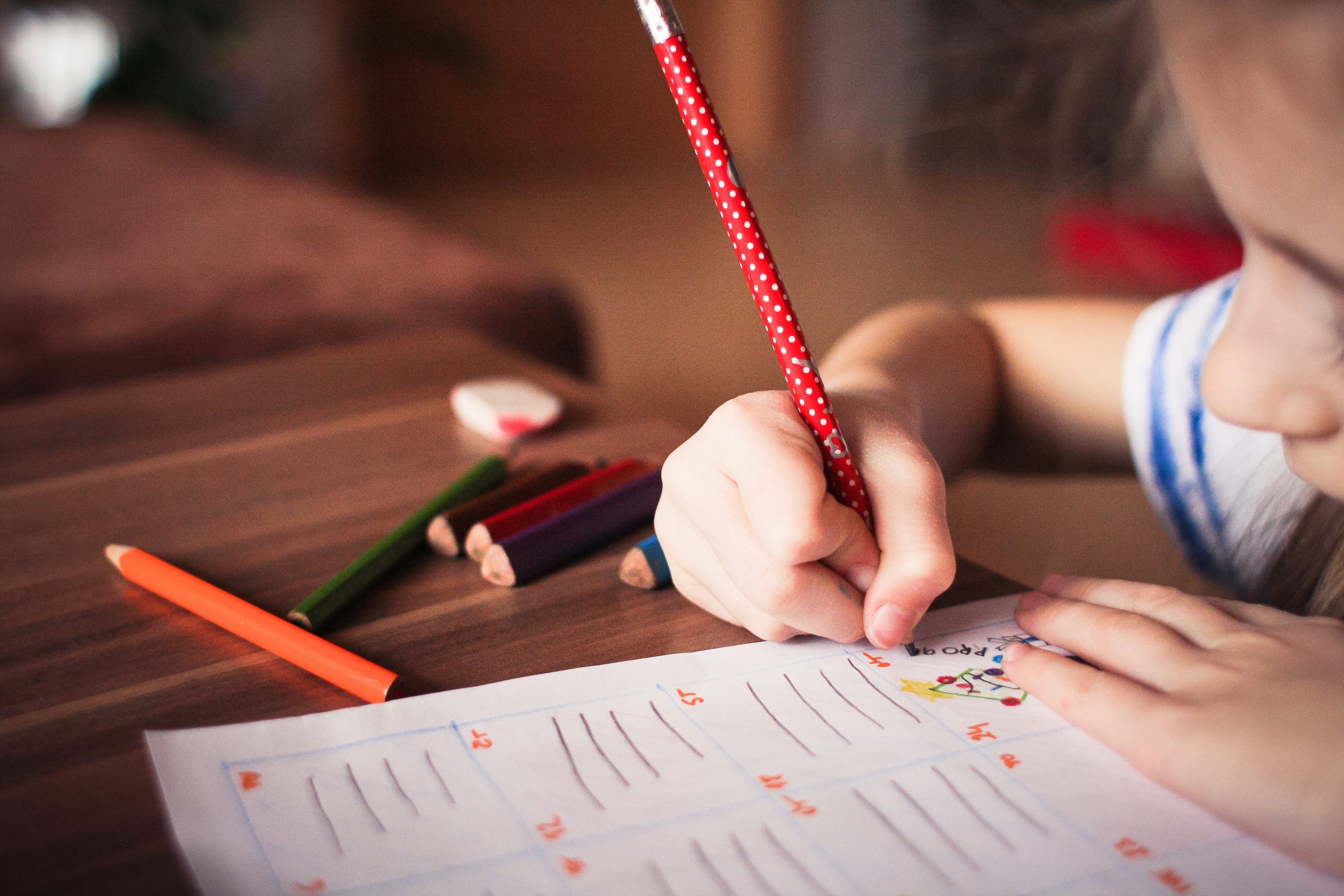 Alfa-college start met opleiding Medewerker kinderopvang, onderwijs en bewegen: 'Een win-winsituatie'