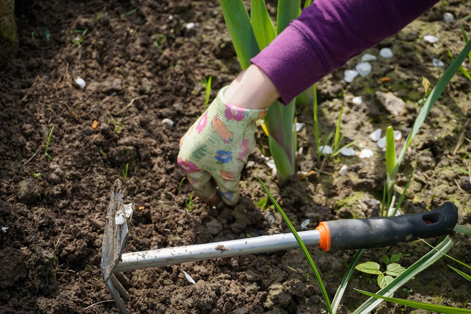 Tuinieren in het voorjaar is genieten in de zomer