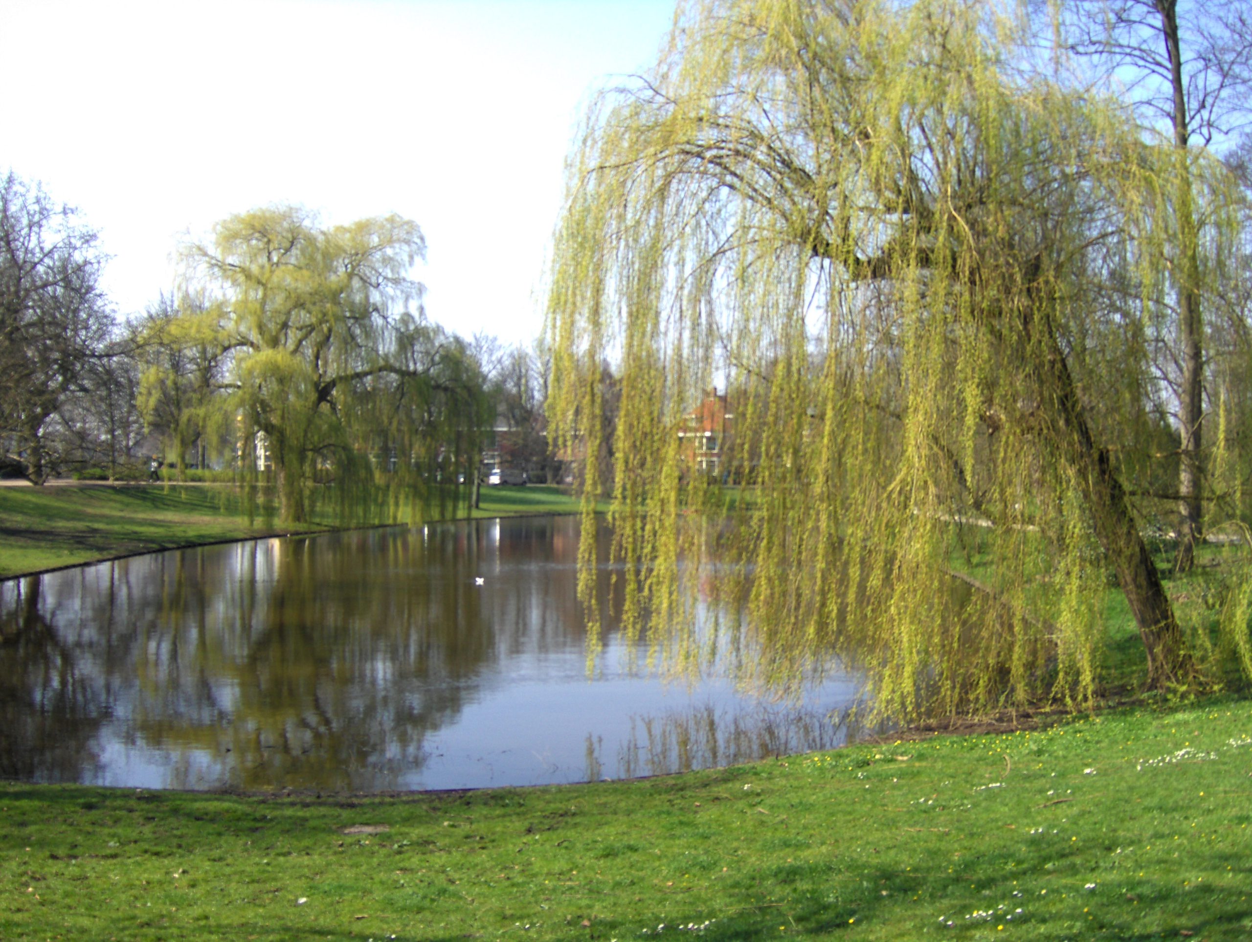 Alles over natuur: nieuwe wandelroute (voor kinderen) door Noorderplanstoen