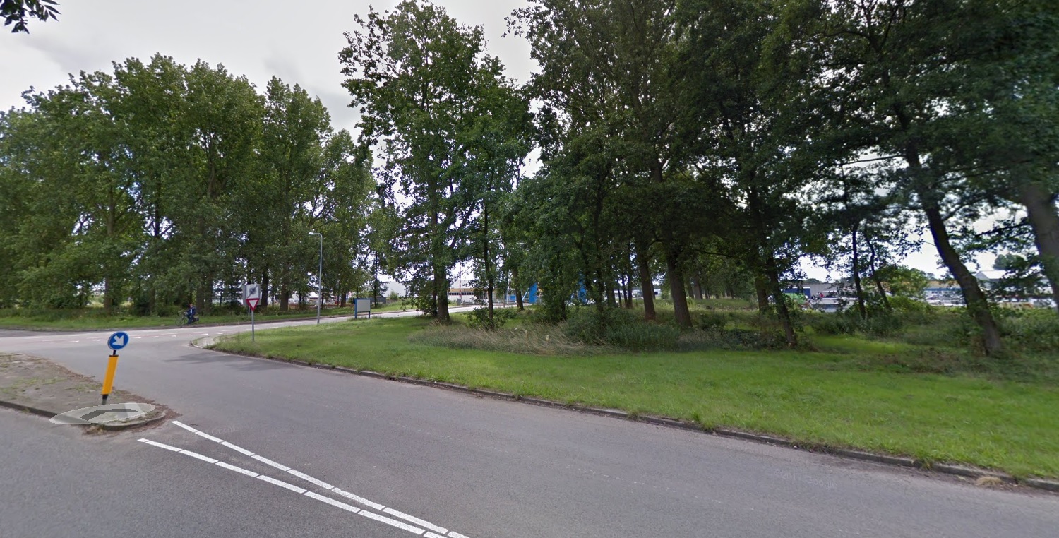 Nieuwe bomen en struiken voor Zuidoost