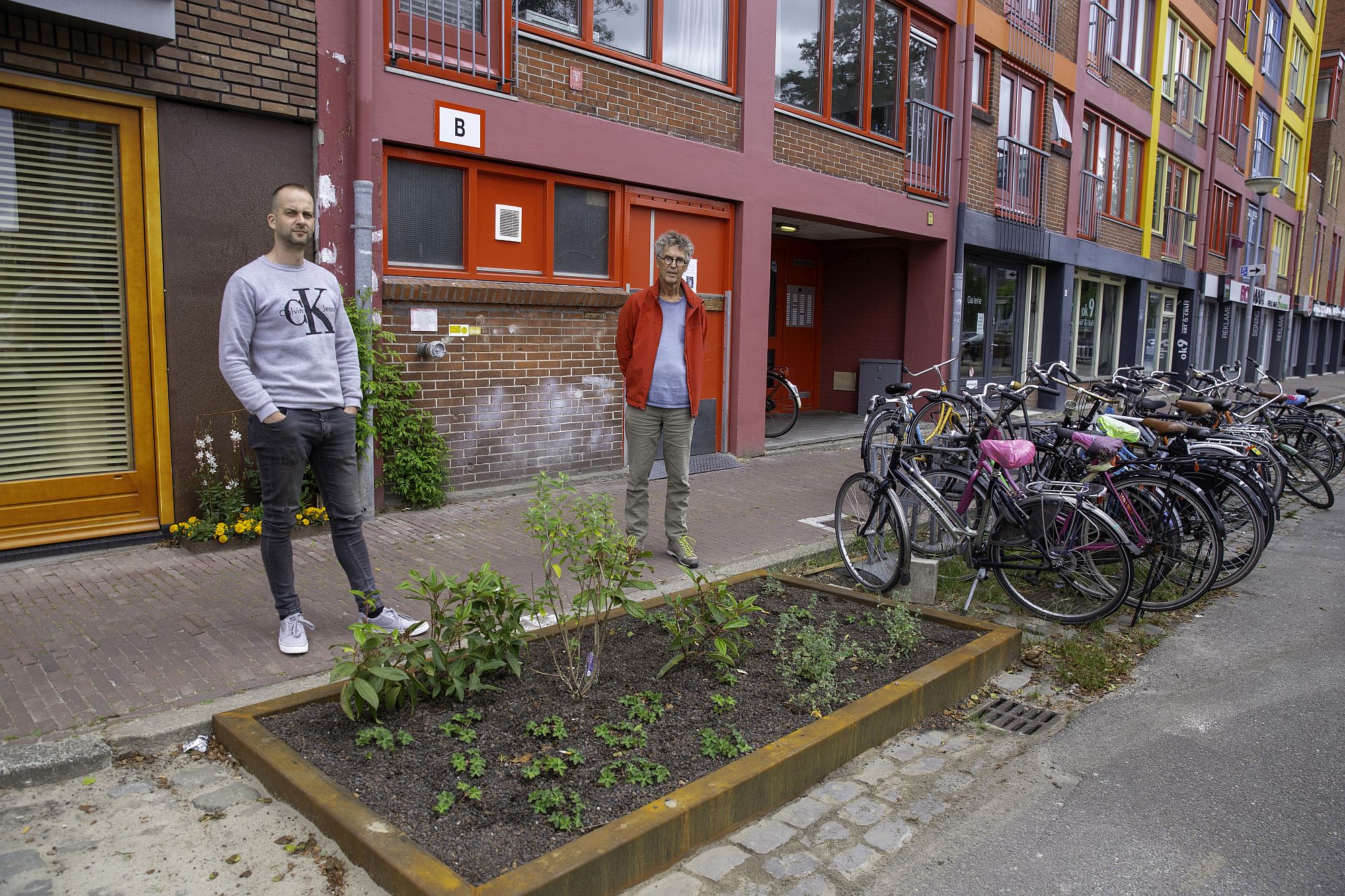 Steeds meer straten in Groningen vergroenen dankzij bewonersinitiatieven – zoals aan de Oosterkade