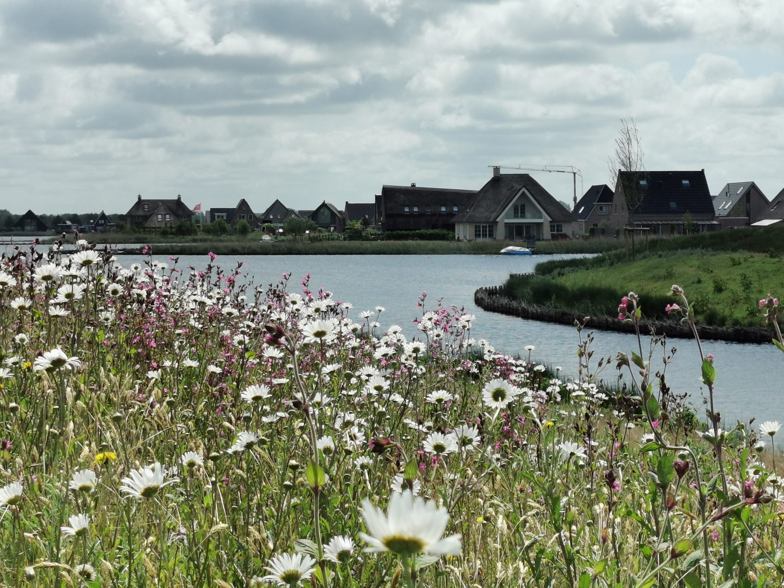 Meer dan duizend bomen en kilometers aan bloemrijke bermen in Meerstad