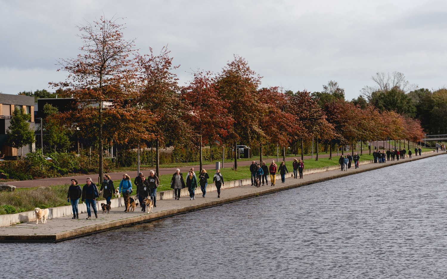 Tweede editie ‘Nature ‘Walk’ door prachtige Natuurgebied de Onlanden