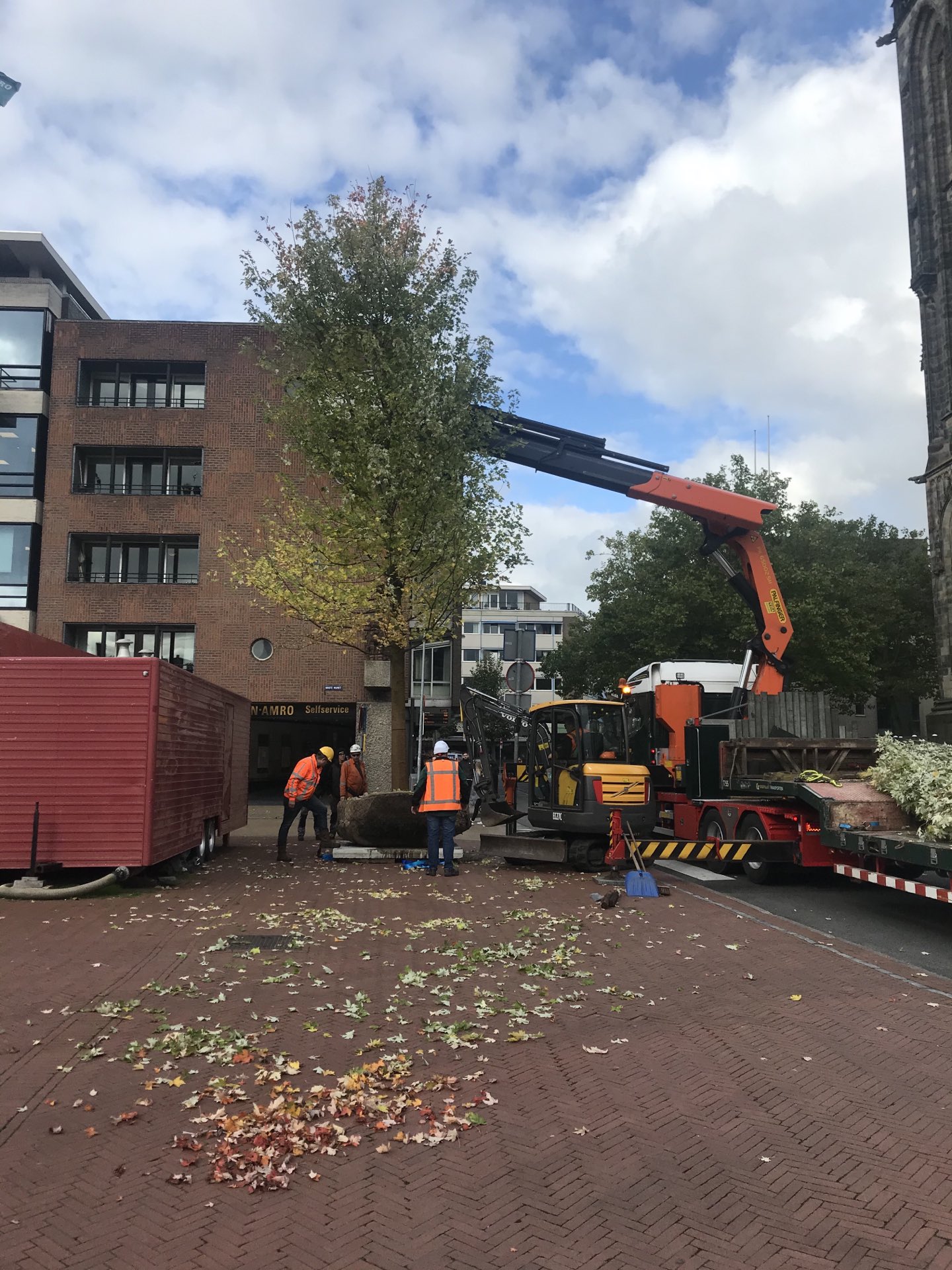 Grote esdoorns geven Grote Markt in Groningen groenere uitstraling