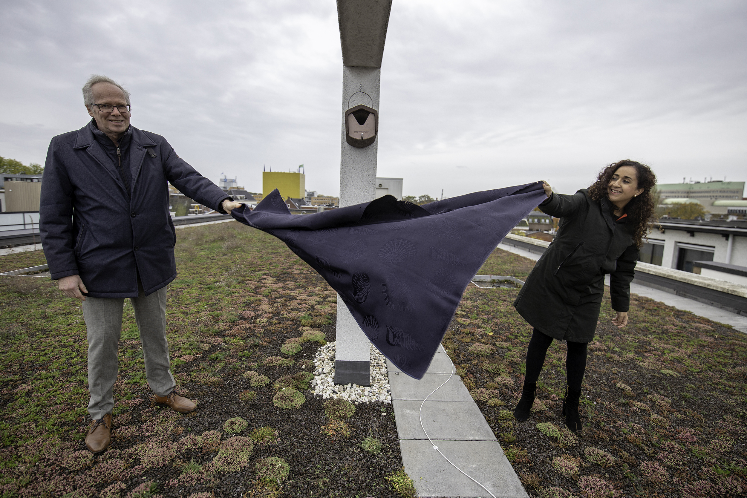 In Groningen nu al 7000m2 daken voorzien van groen; subsidie voor particulieren