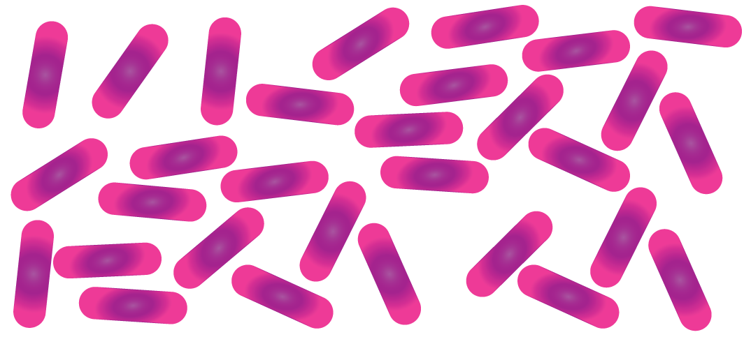 Gronings bedrijf Omnicin zorgt voor doorbraak in bestrijding lastig behandelbare infecties