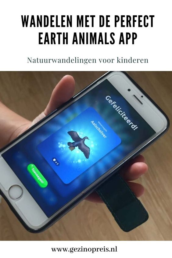 Nieuw uitje voor Groningse kinderen: digitaal dieren zoeken in het bos