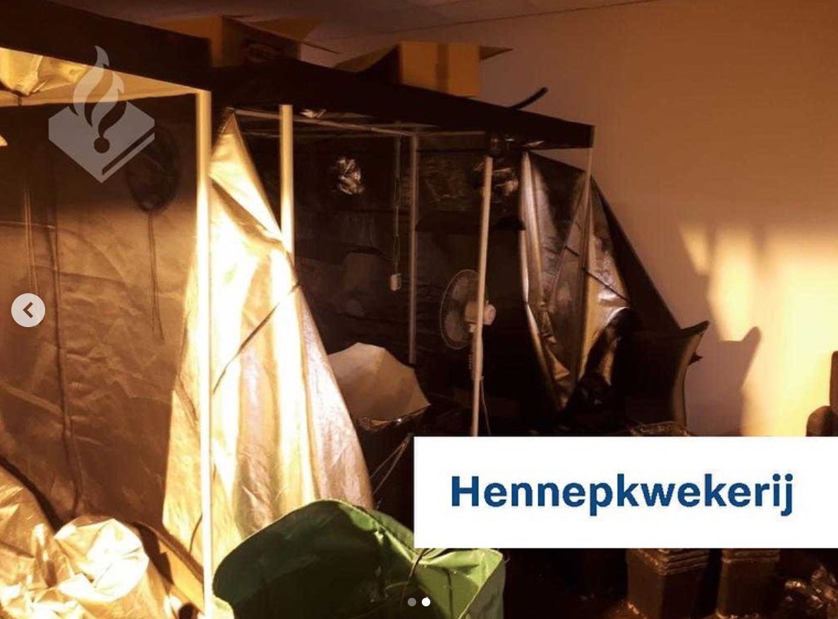 Vijf aanhoudingen na ontdekking ‘gevaarlijke’ hennepkwekerij