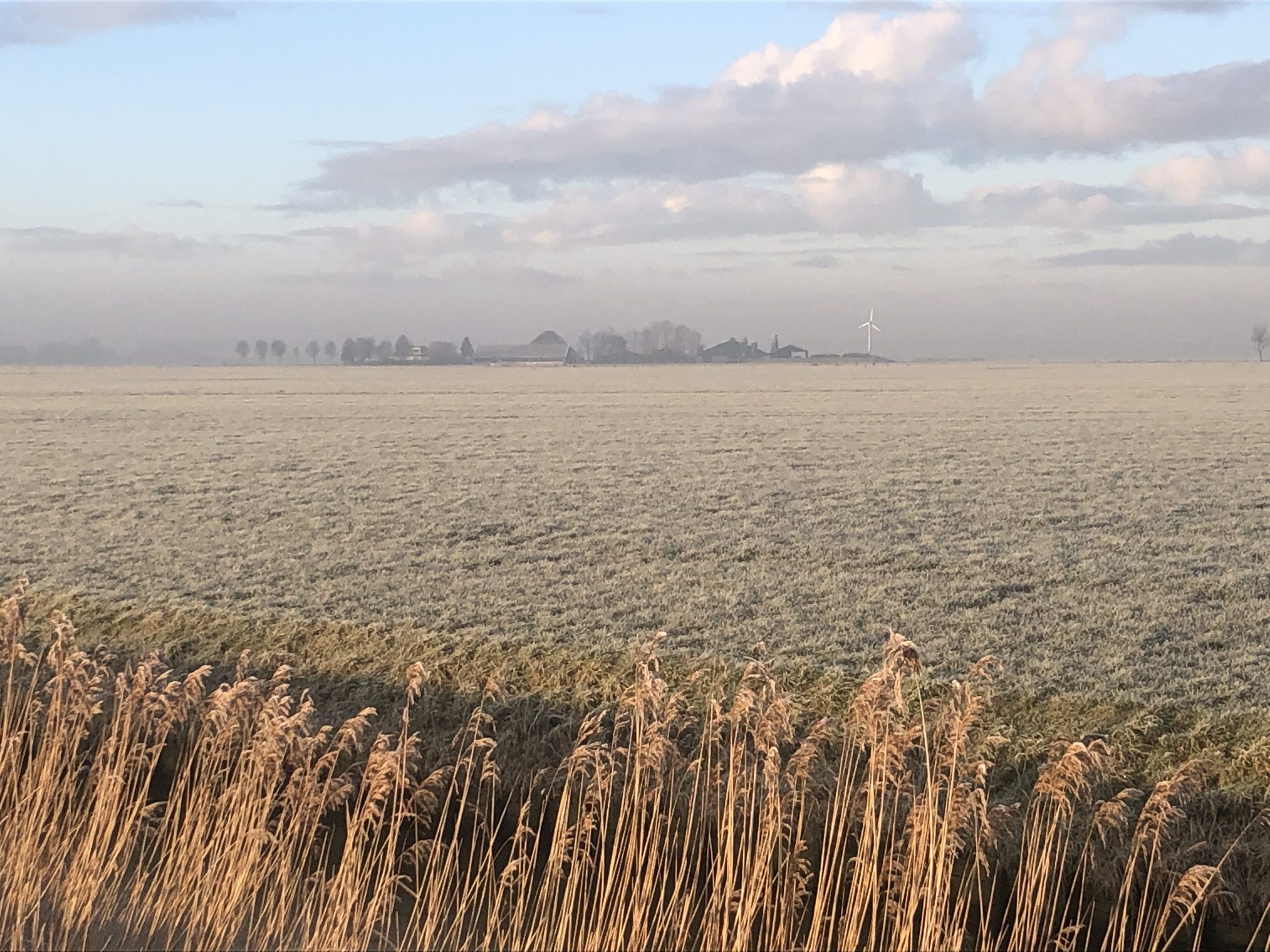 Witte wereld in Groningen - ouderwetse winterbeelden