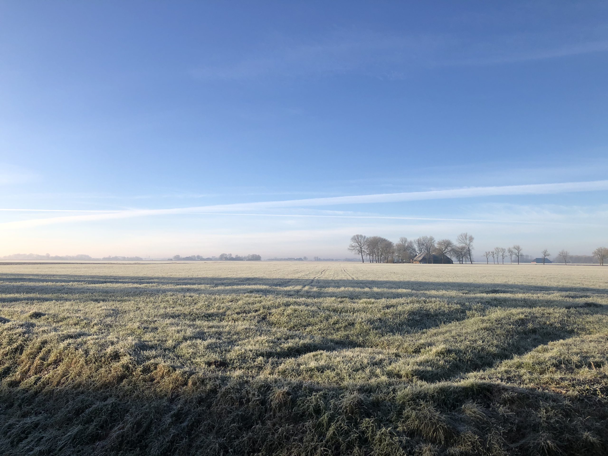 Groningen ontwaakt in winters landschap