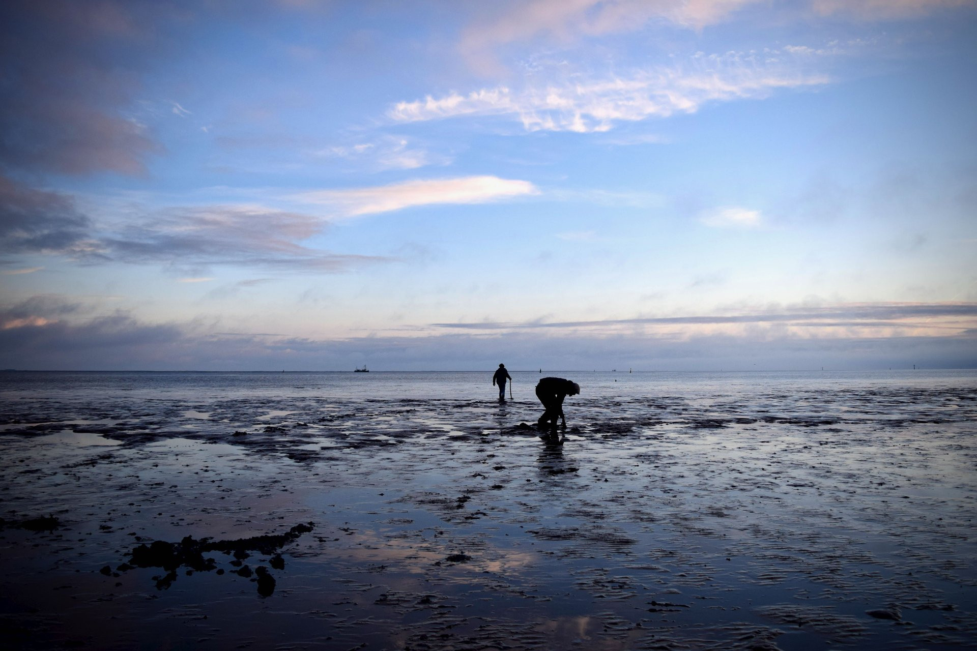 Winterwadlooptocht vanaf Noordpolderzijl