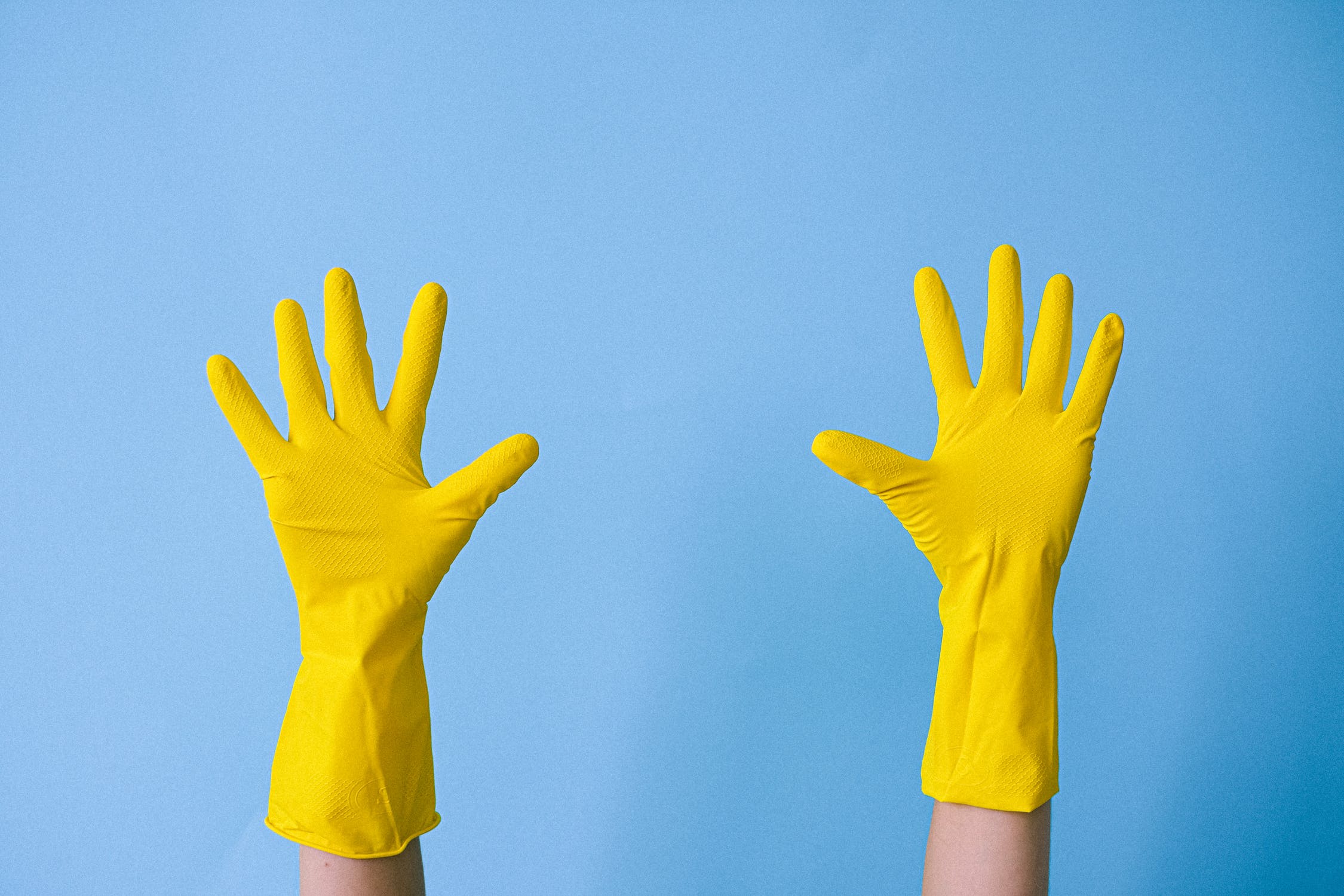 Minder plastic in de Waddenzee: geld voor afbreekbare handschoenen en etensbakjes